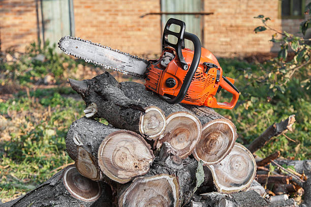 Lawton, OK Tree Service Company